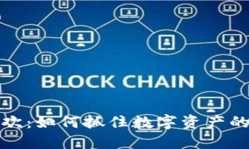 加密货币狂欢：如何抓住数字资产的机会与挑战