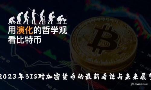 2023年BIS对加密货币的最新看法与未来展望