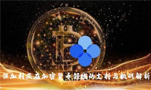 保加利亚在加密货币领域的支持与挑战解析