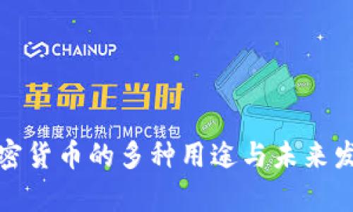 数字加密货币的多种用途与未来发展前景