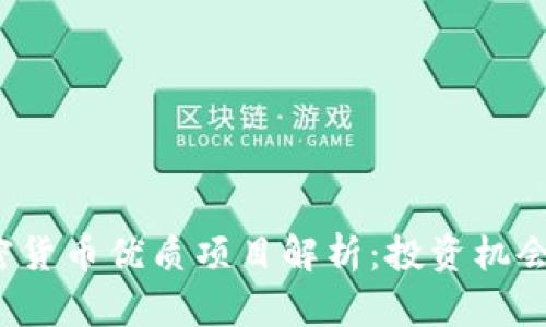 2023年加密货币优质项目解析：投资机会与风险分析