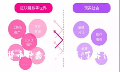 2023年加密货币种类全面解析：了解什么不包括在内