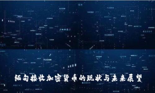 缅甸接收加密货币的现状与未来展望