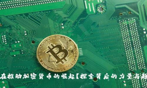 谁在推动加密货币的崛起？探索背后的力量与趋势