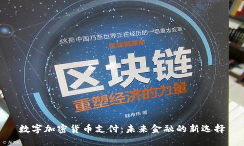 数字加密货币支付：未来金融的新选择