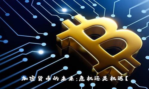 加密货币的未来：危机还是机遇？