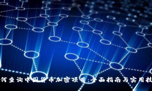 如何查询中国货币加密项目：全面指南与实用技巧