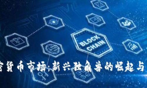 印度加密货币市场：新兴独角兽的崛起与未来展望