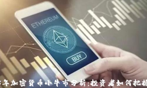 
2023年加密货币小牛市分析：投资者如何把握机会