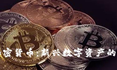 泰迪狗加密货币：新兴数字资产的全面解析