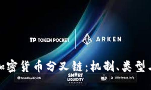 深入探讨加密货币分叉链：机制、类型与现实影响