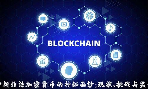 
揭开伊朗非法加密货币的神秘面纱：现状、挑战与监管趋势