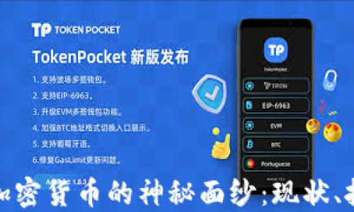 
揭开伊朗非法加密货币的神秘面纱：现状、挑战与监管趋势