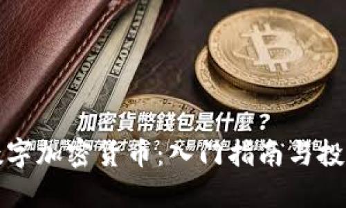 傻瓜数字加密货币：入门指南与投资指南
