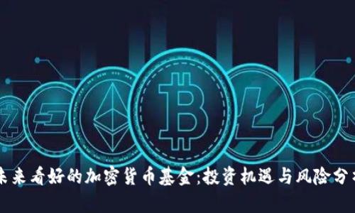 未来看好的加密货币基金：投资机遇与风险分析