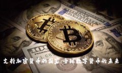 支持加密货币的国家：全球数字货币的未来