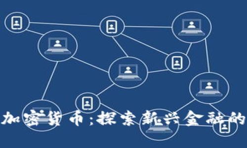 流浪汉与加密货币：探索新兴金融的公平机会