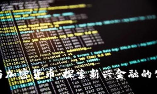 流浪汉与加密货币：探索新兴金融的公平机会