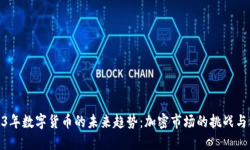 2023年数字货币的未来趋势：加密市场的挑战与机遇