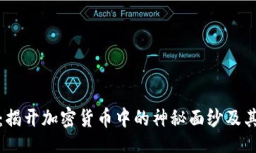 (一) 

黑币：揭开加密货币中的神秘面纱及其影响