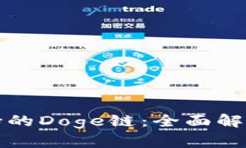 TP钱包中支持的Doge链:全面解析与使用指南