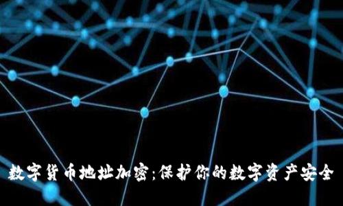 数字货币地址加密：保护你的数字资产安全